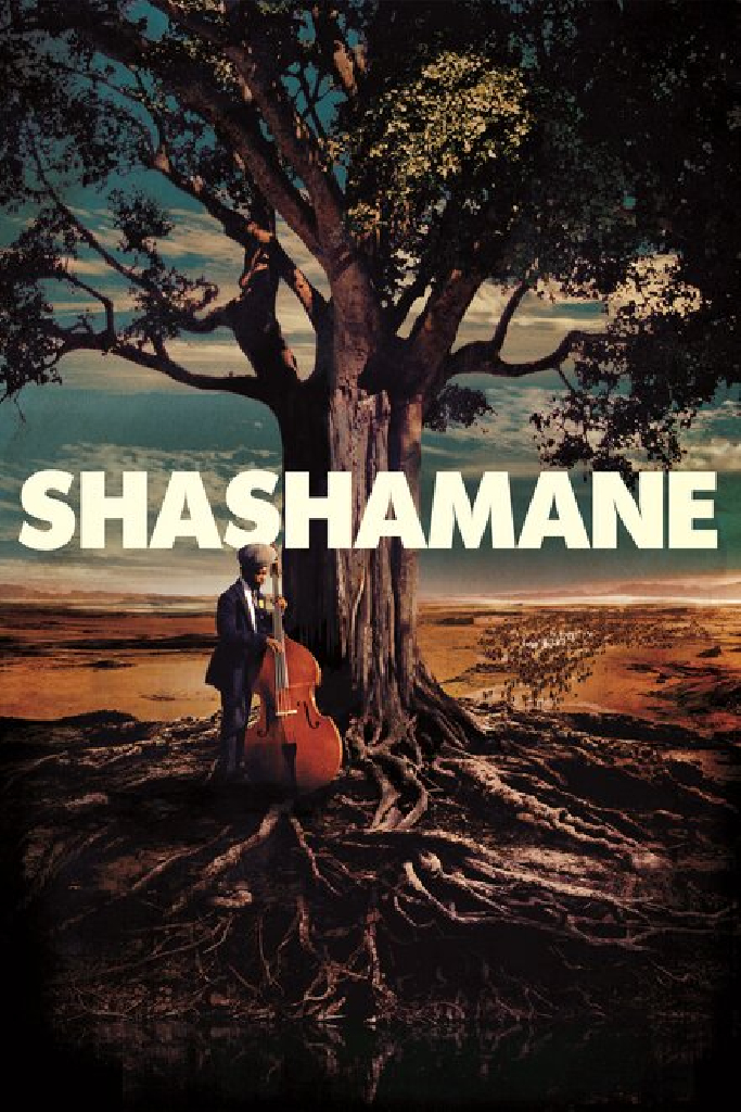 Shashamane