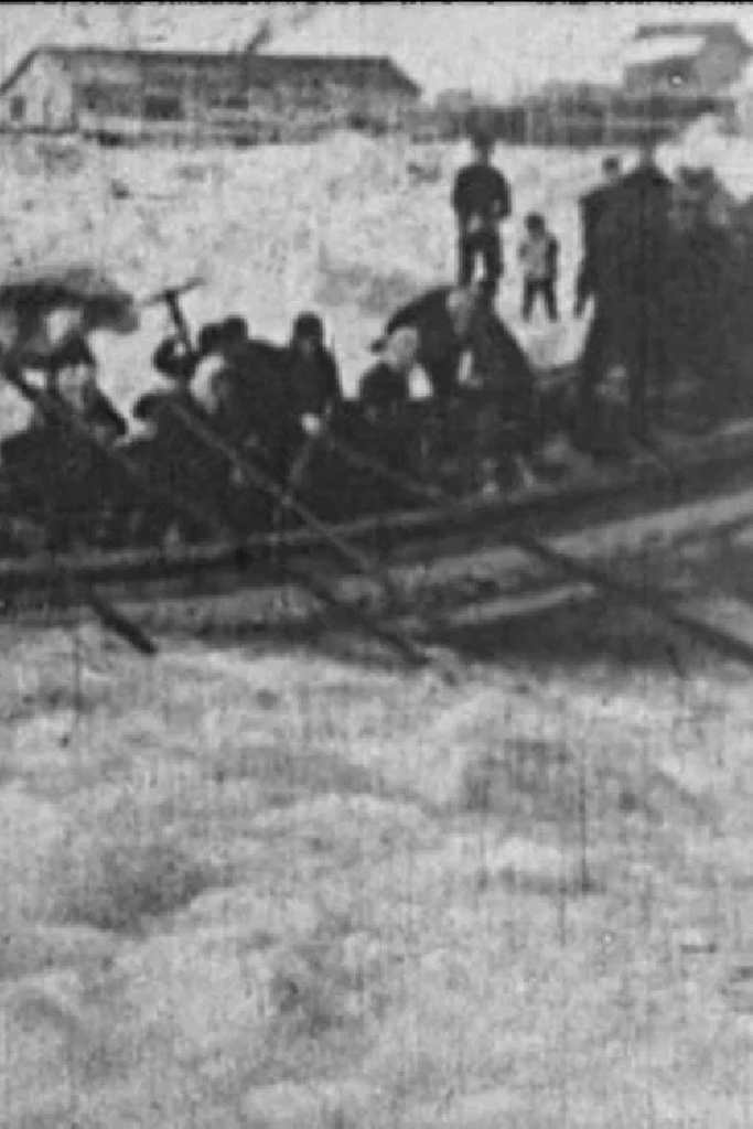 Корона жизни