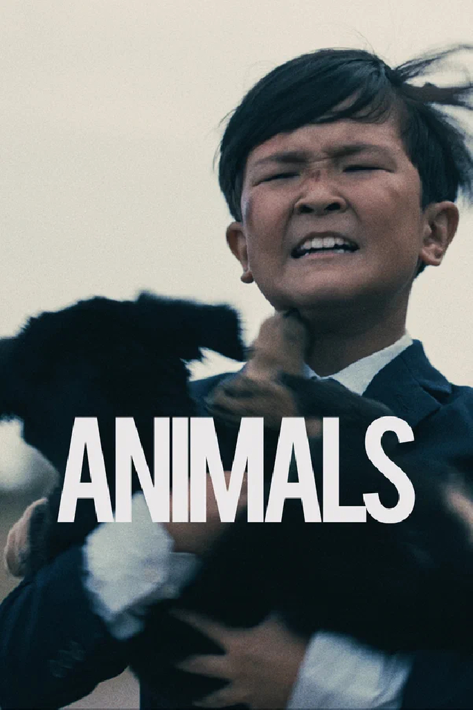 Animals