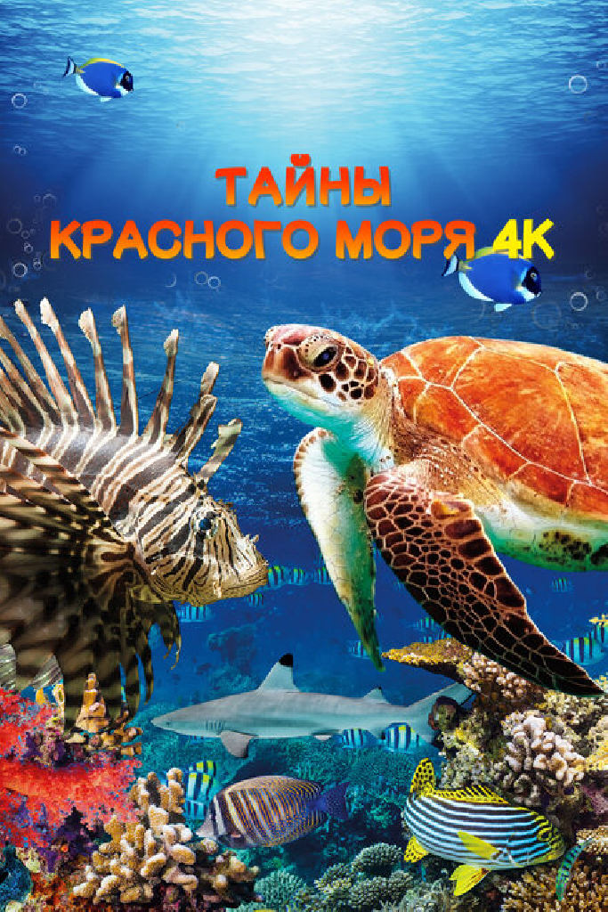 Тайны Красного моря