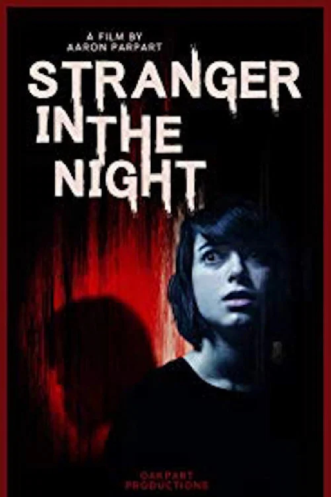 Stranger in the Night