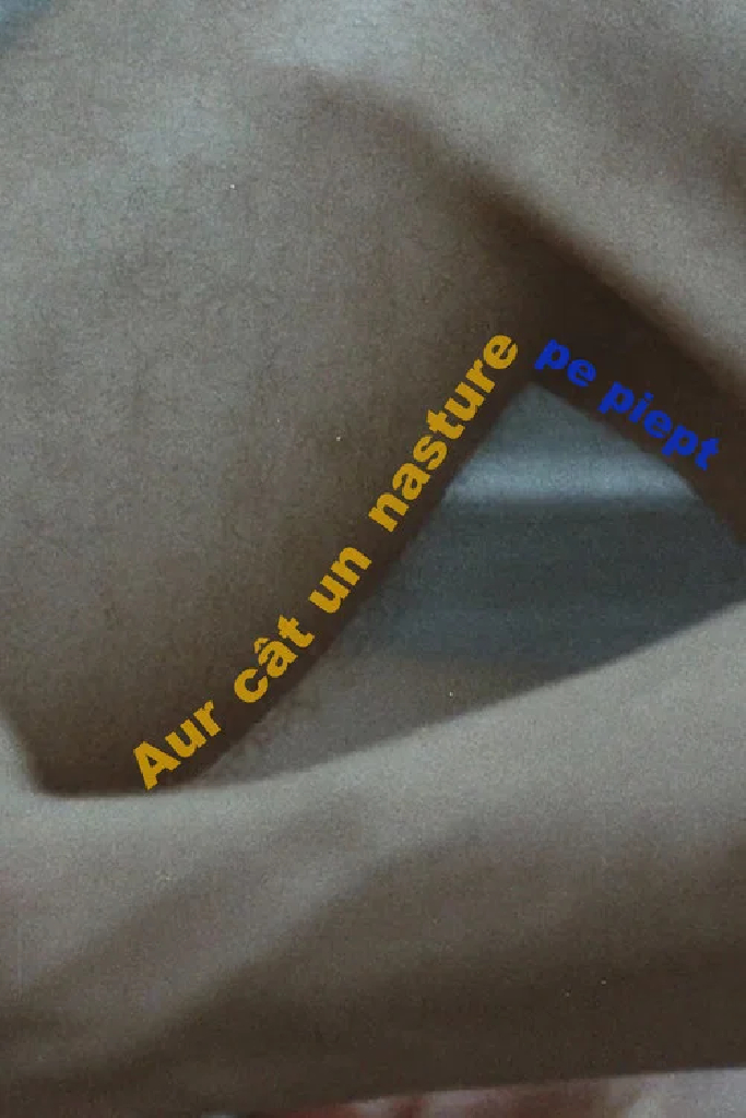 Aur cât un nasture pe piept