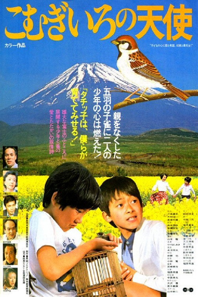 こむぎいろの天使 雀と少年