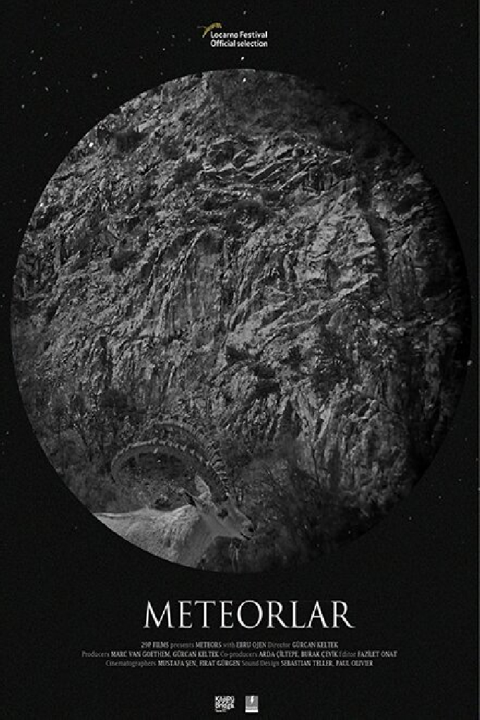 Meteorlar