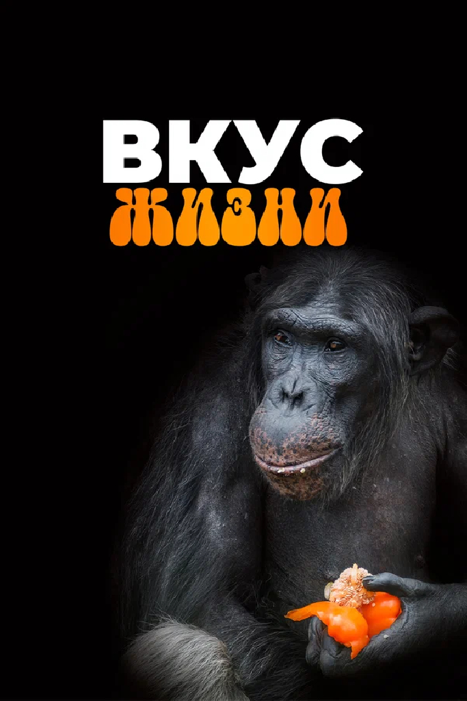 Вкус жизни