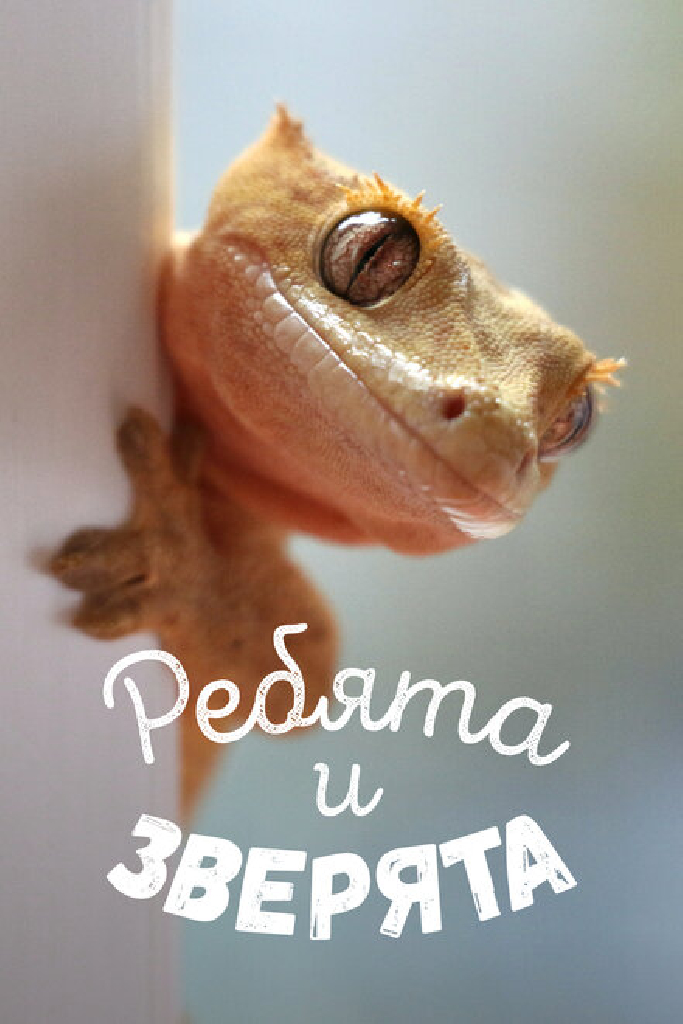 Ребята и зверята