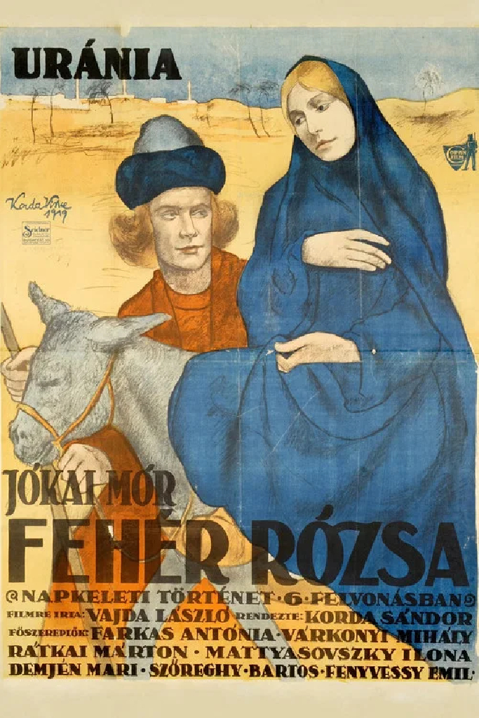 Белая роза