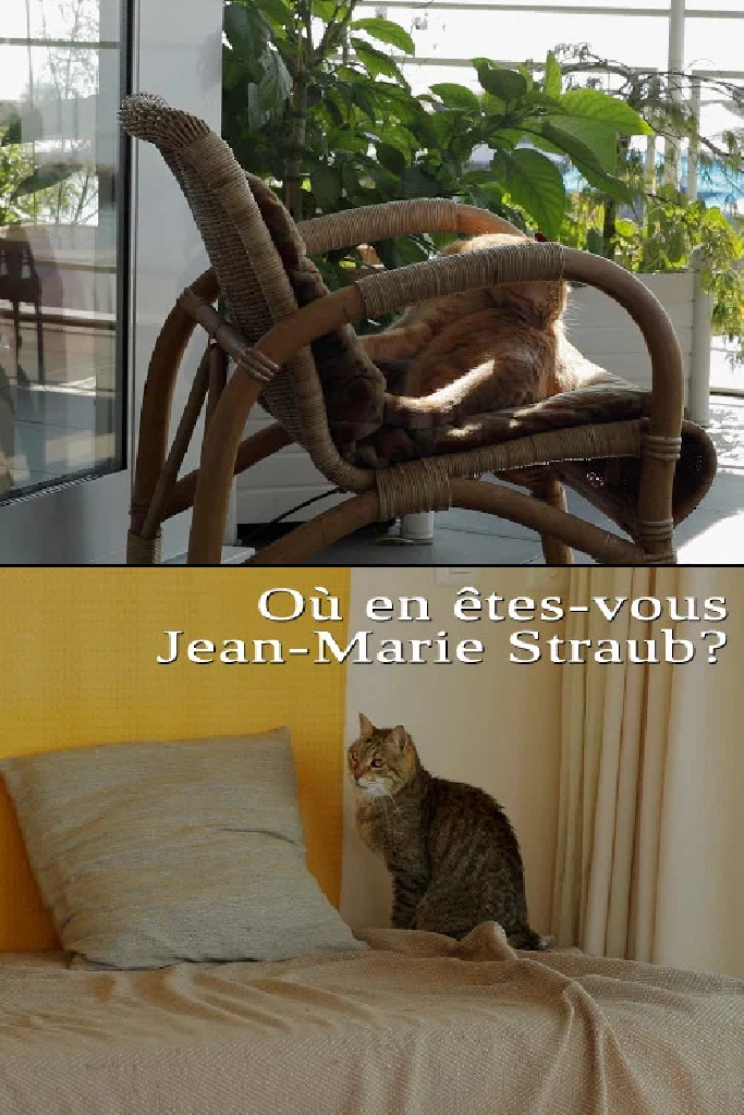 Où en êtes-vous, Jean-Marie Straub ?