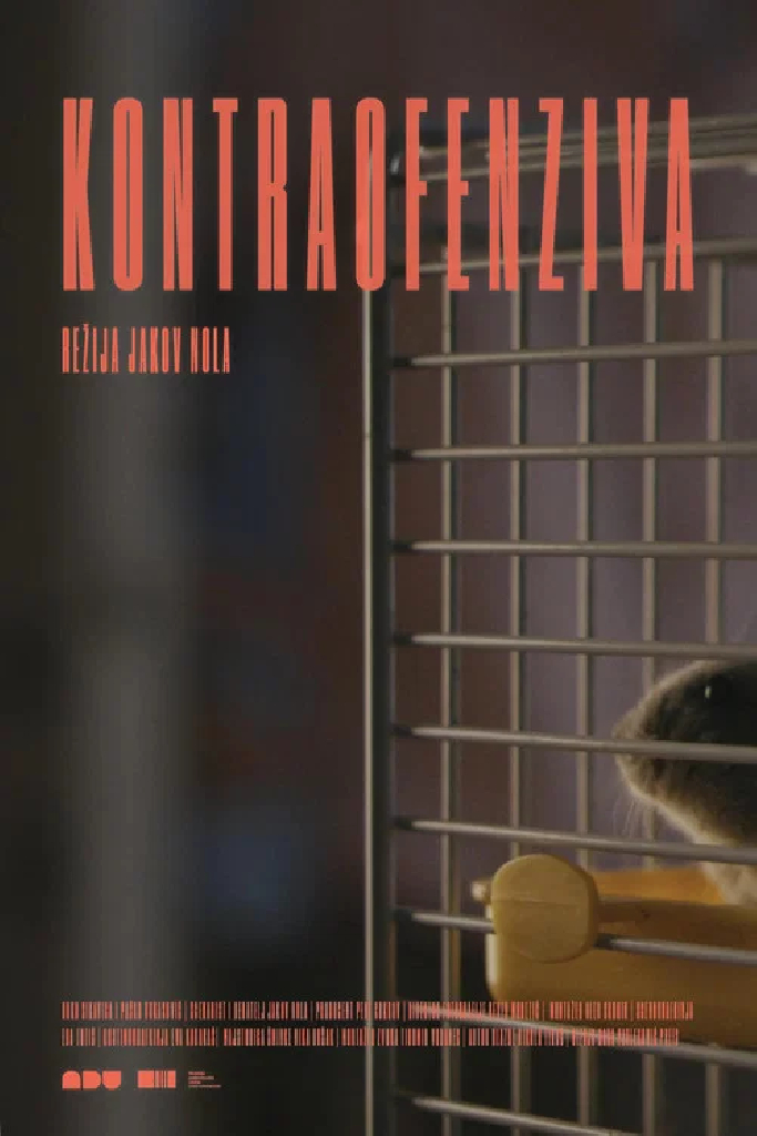 Kontraofenziva