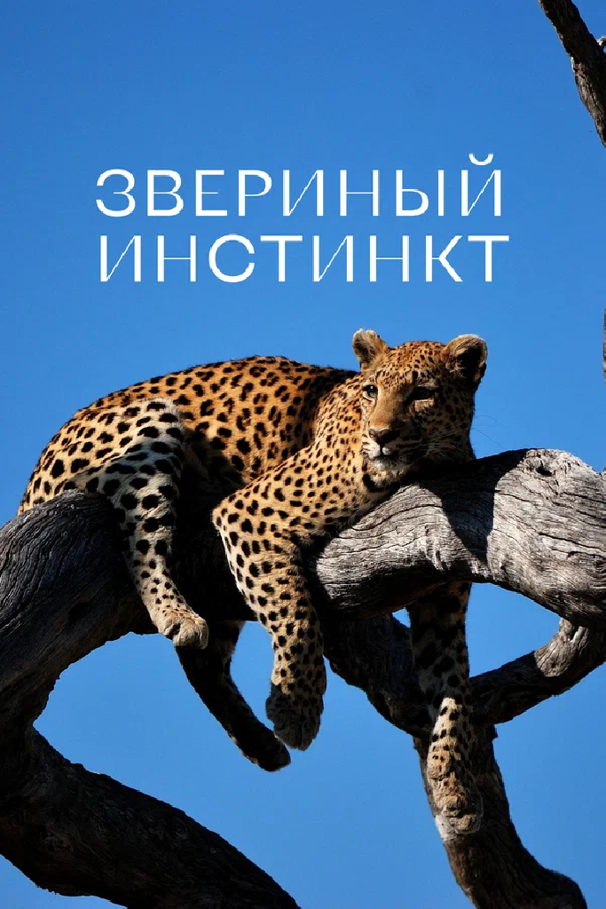 Звериный инстинкт
