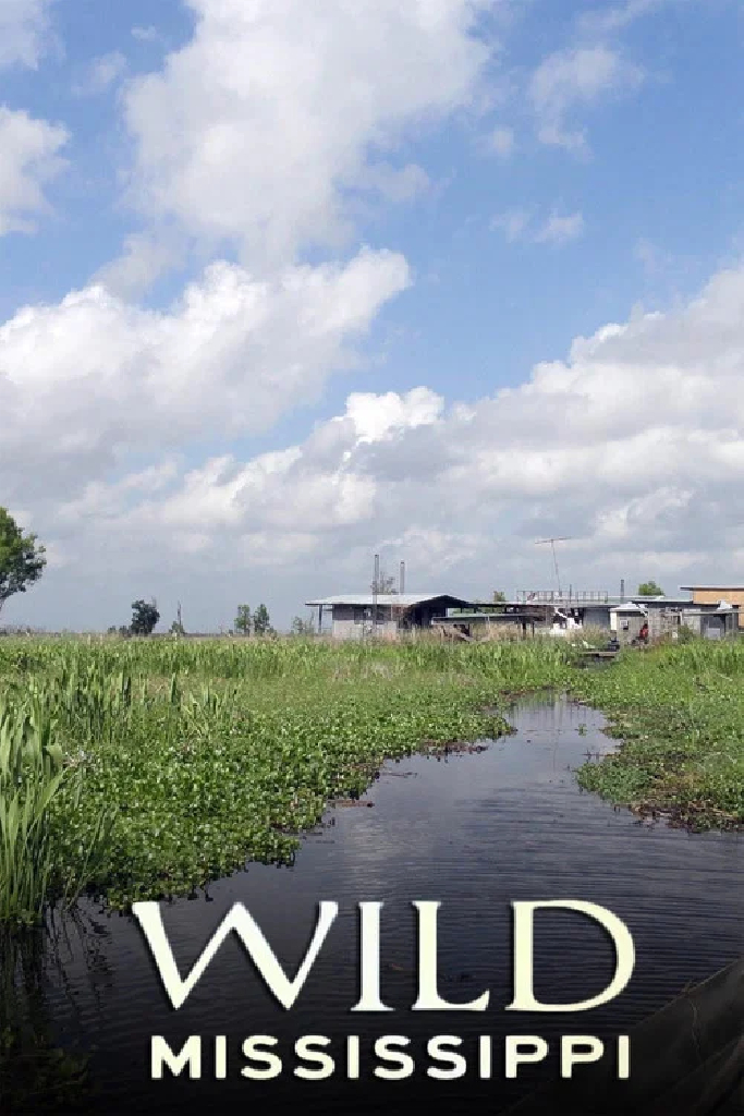 Дикая природа Миссисипи