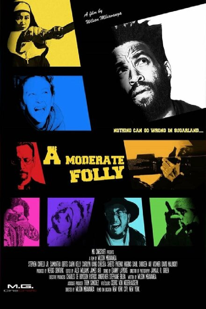 A Moderate Folly