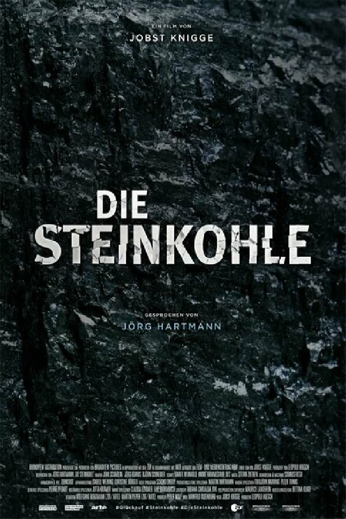 Die Steinkohle