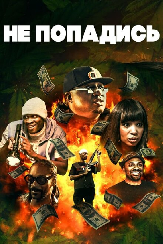 Не попадись