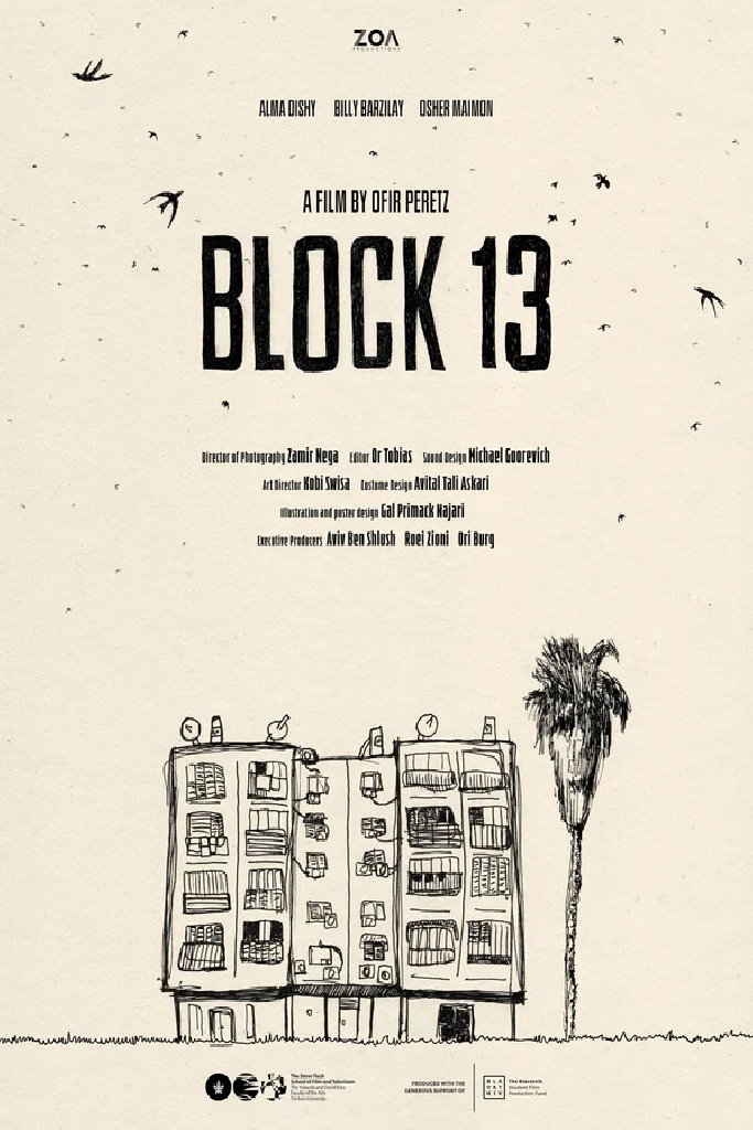 Block 13