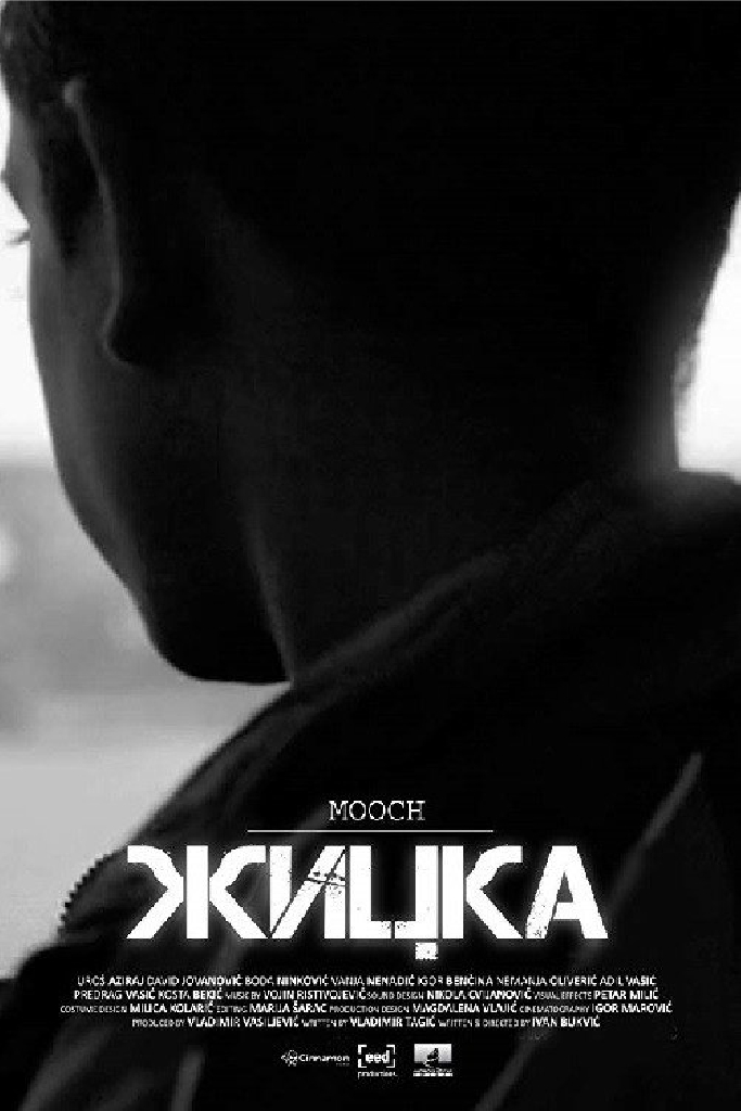 Žicka