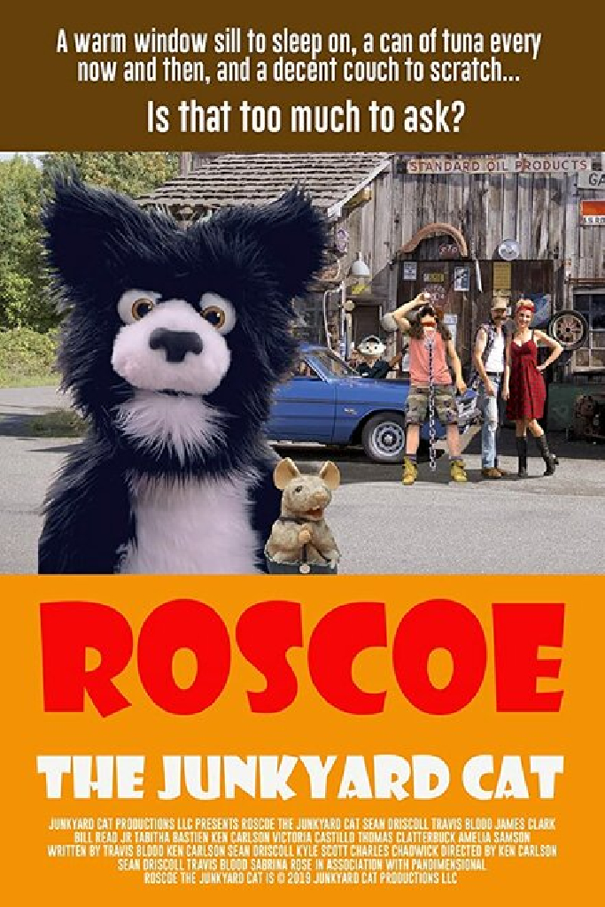 Roscoe the Junkyard Cat