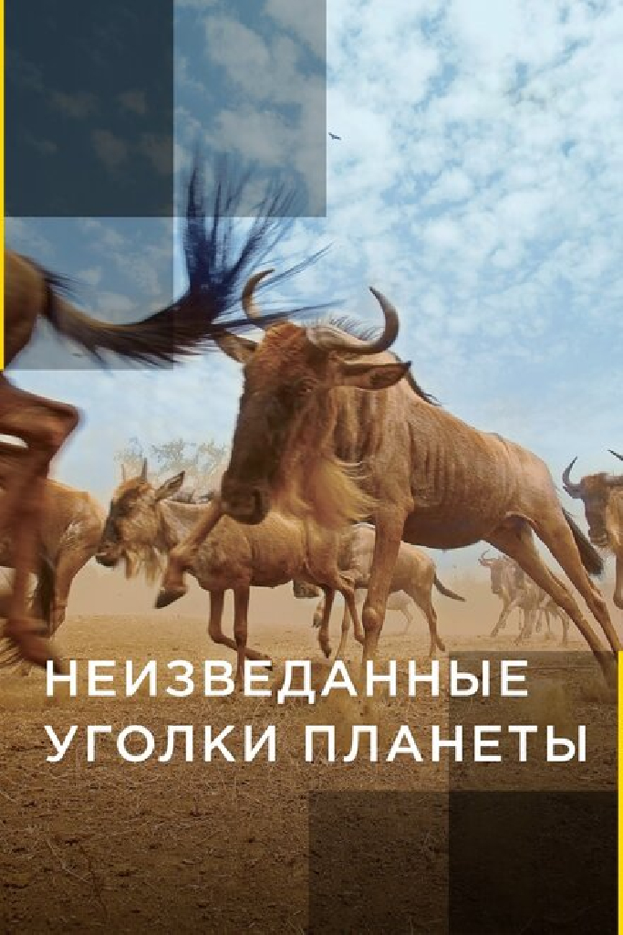 Неизведанные уголки планеты