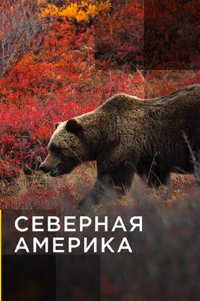 Северная Америка