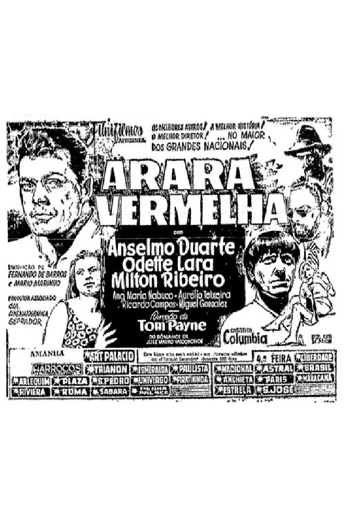 Arara Vermelha