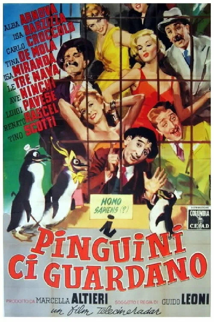 I pinguini ci guardano