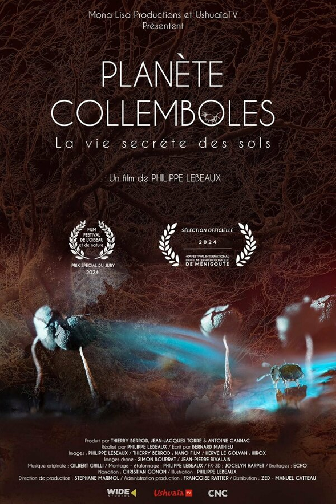 Planète collemboles: la vie secrète des sols