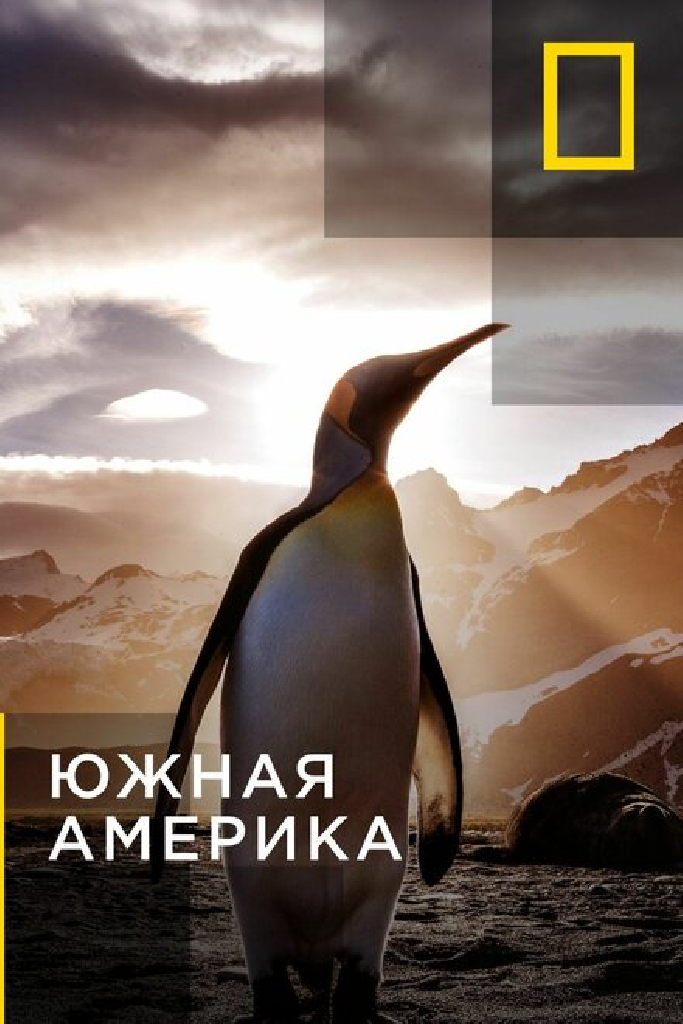 Южная Америка