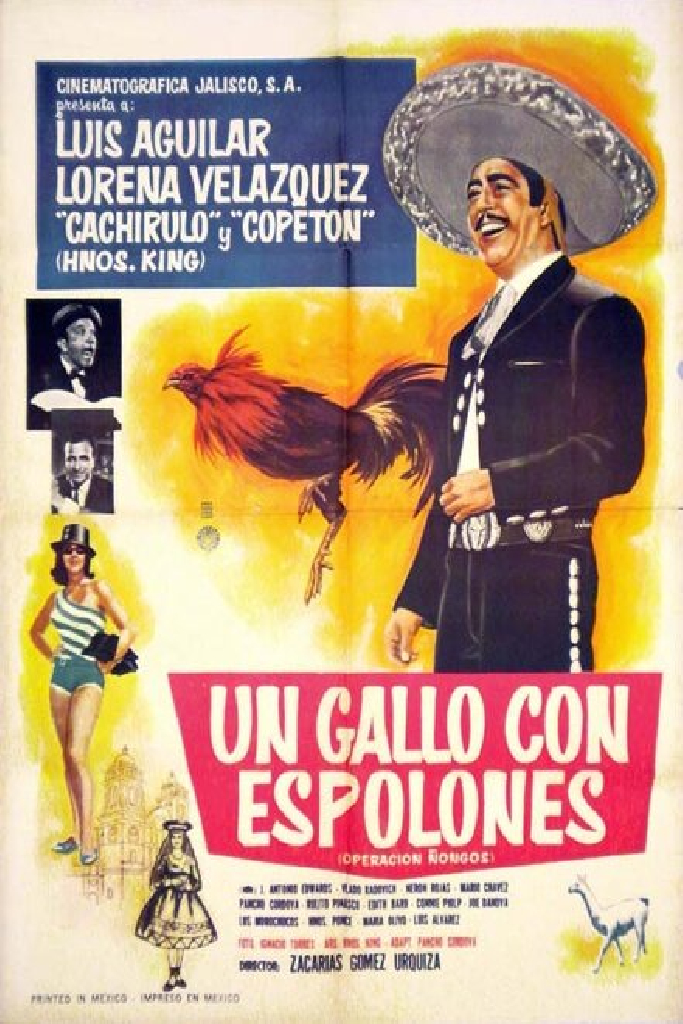 Un Gallo con Espolones