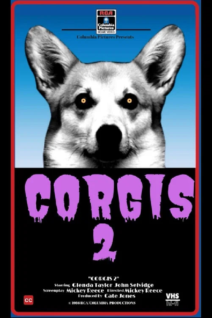 Corgis 2