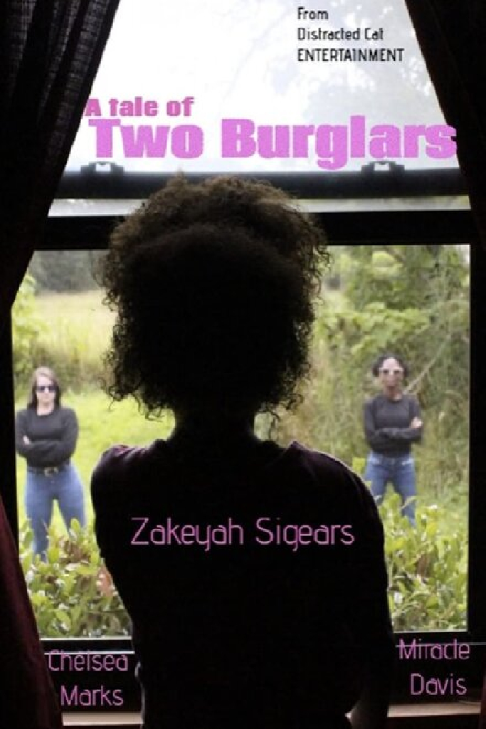 A Tale of Two Burglars
