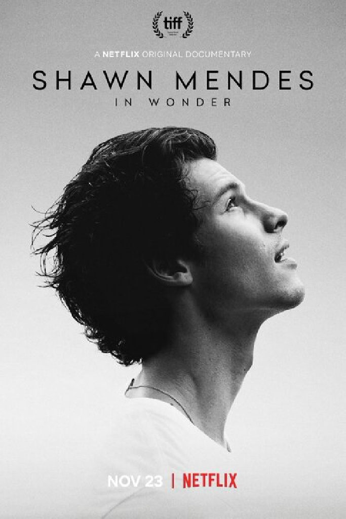 Шон Мендес: In Wonder