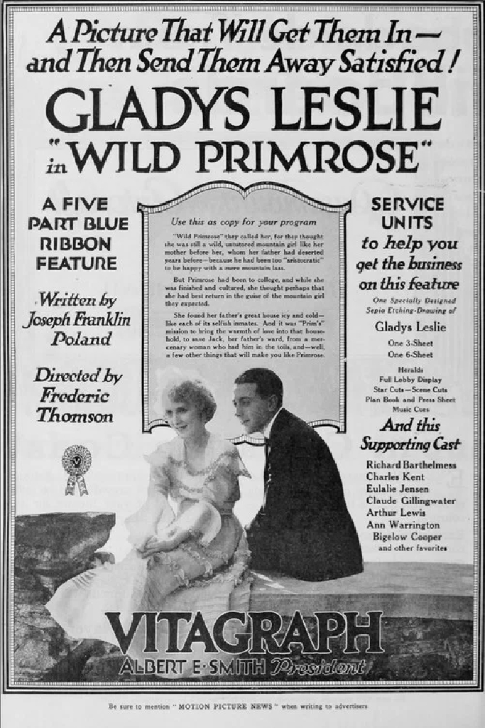 Wild Primrose