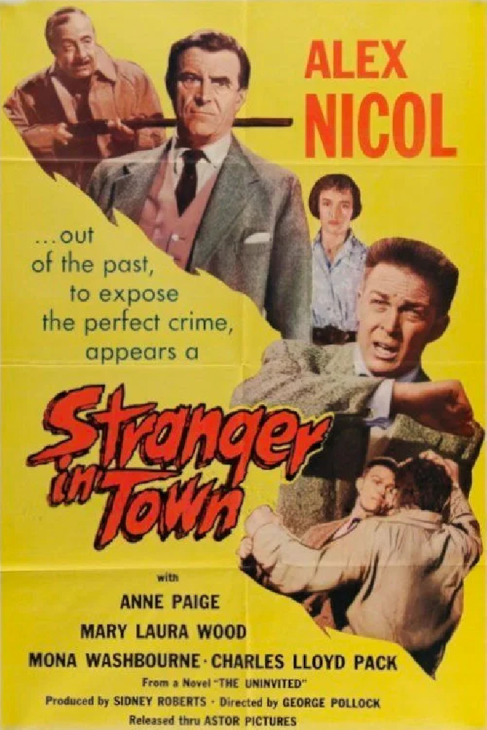 Stranger in Town