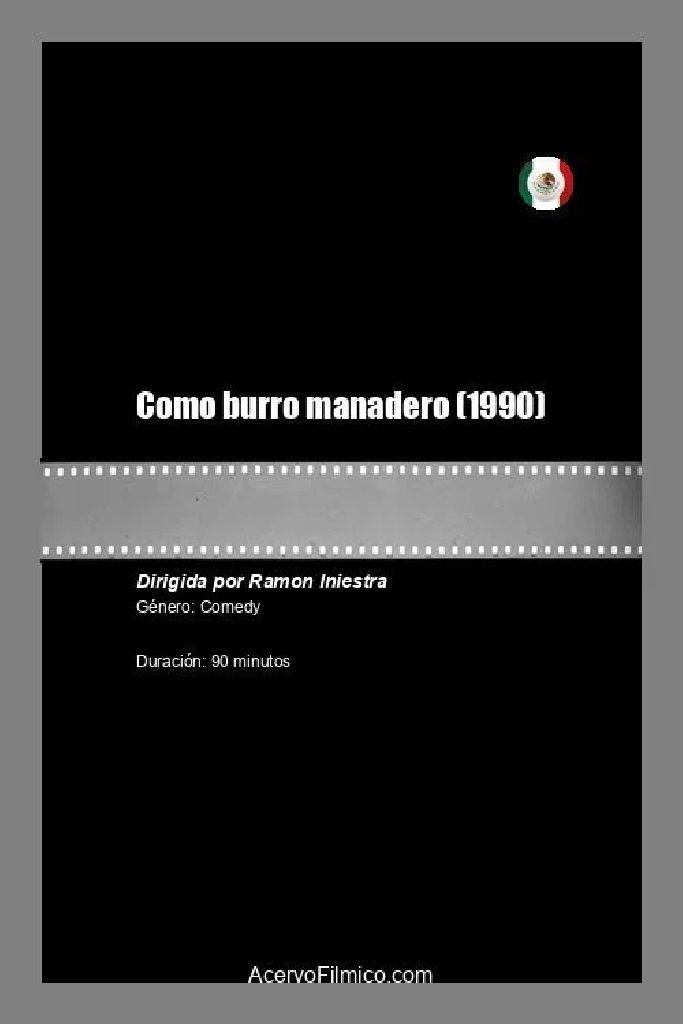 Como burro manadero