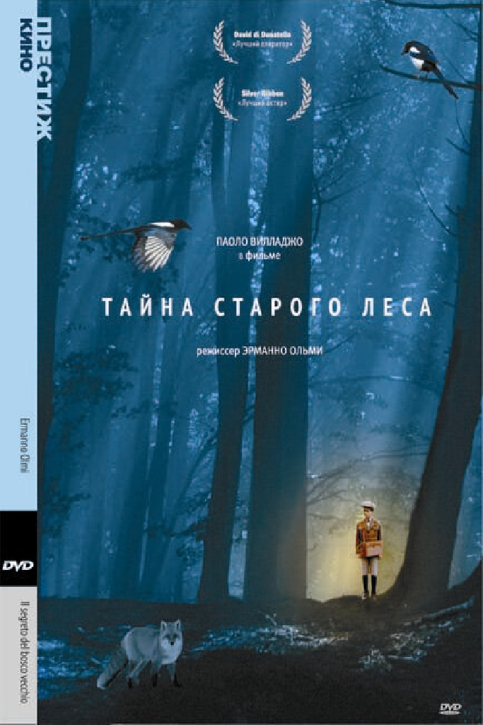 Тайна старого леса
