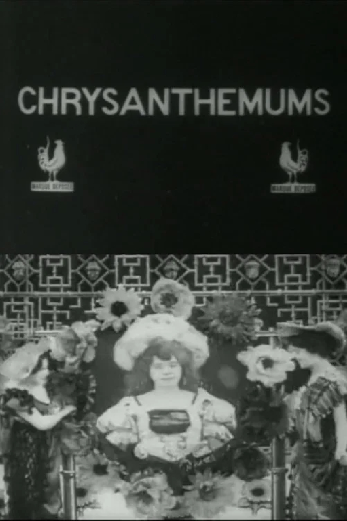 Les Chrysanthèmes