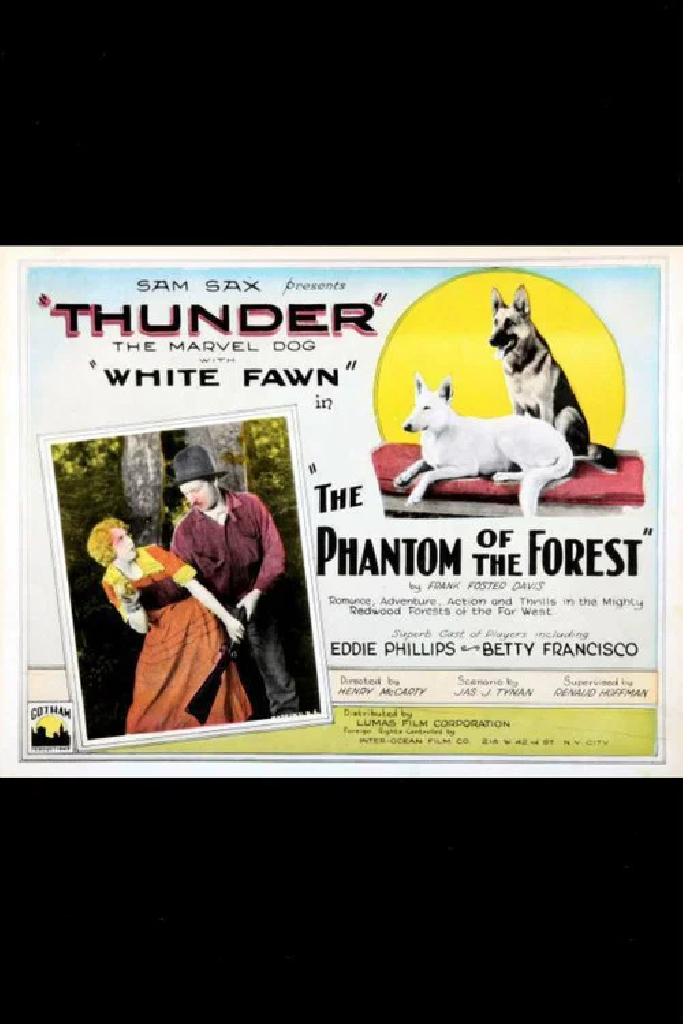 The Phantom of the Forest