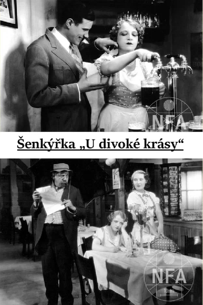 Официантка «У диковатой красотки»