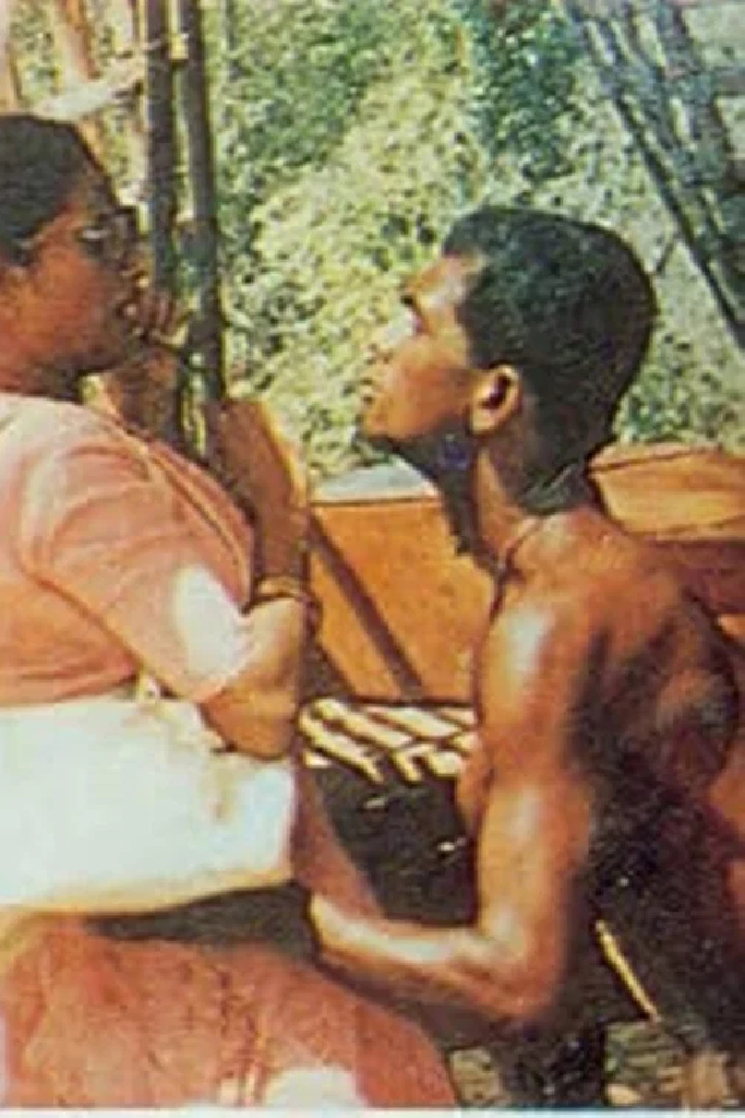 මී හරකා