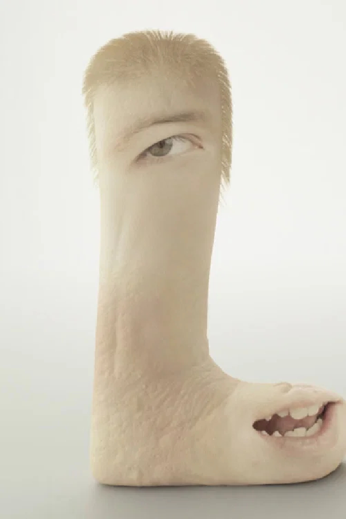 Human Flesh