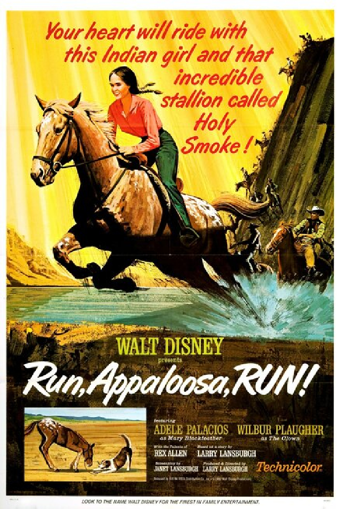 Run, Appaloosa, Run!
