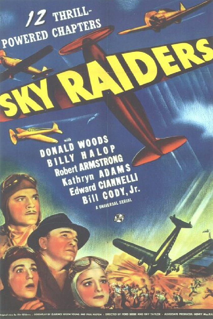 Sky Raiders