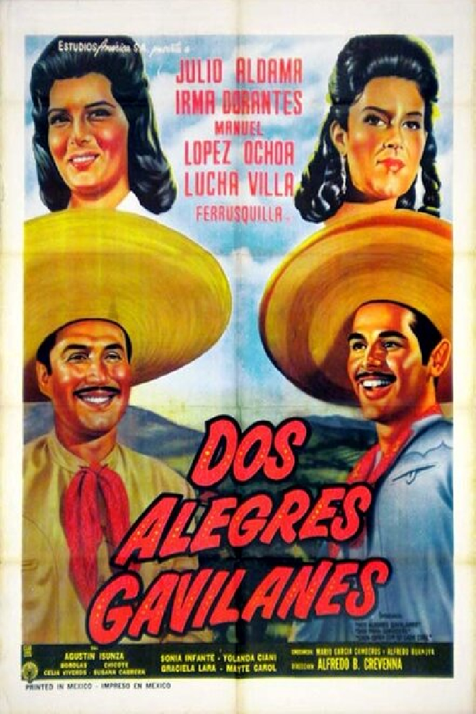 Dos alegres gavilanes