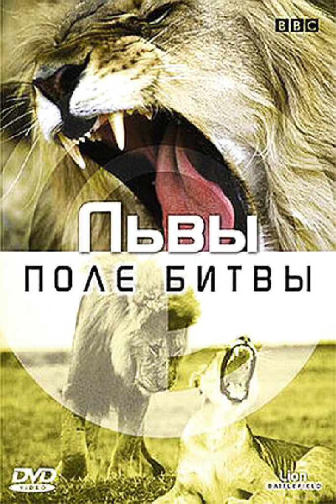 BBC: Львы. Поле битвы