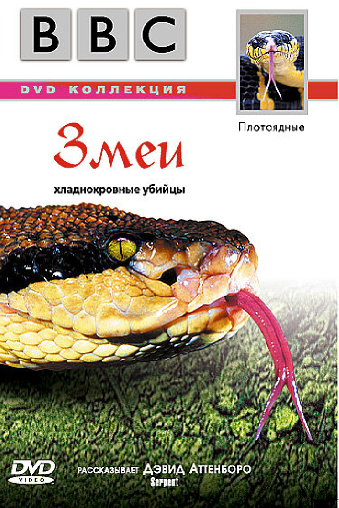 BBC: Змеи