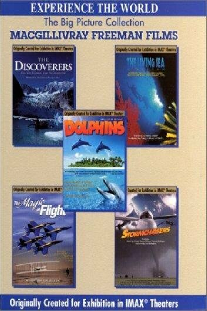 Dolphins: The Ride