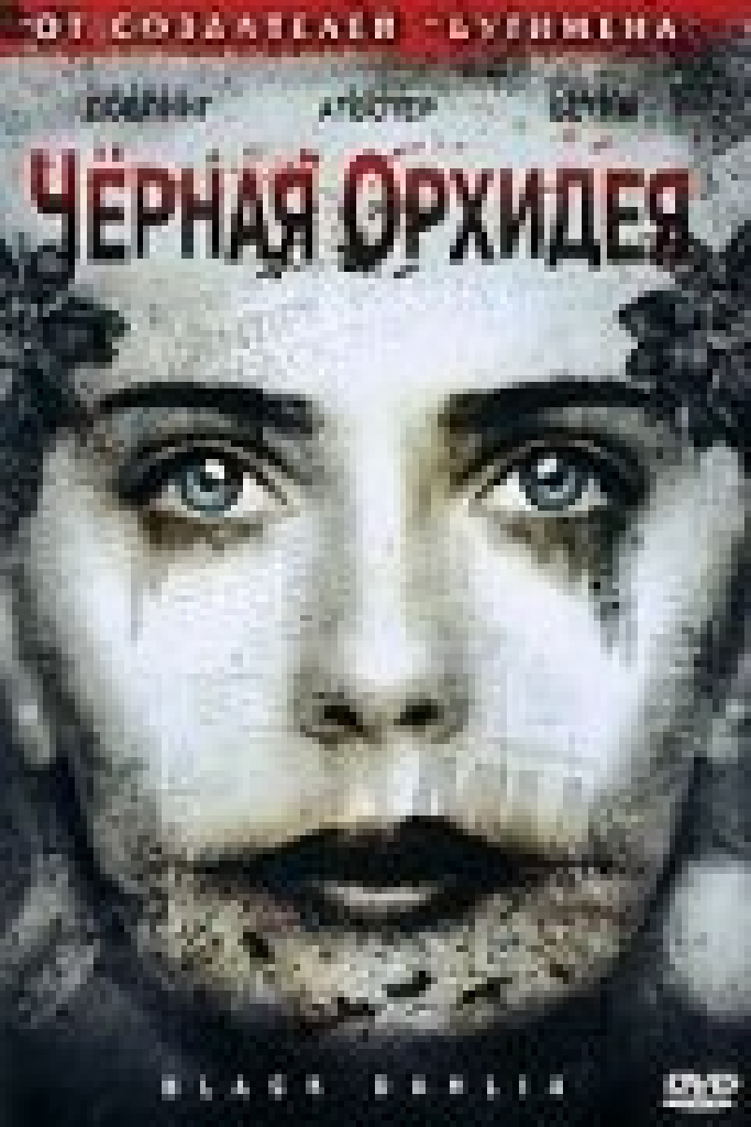 Черная орхидея
