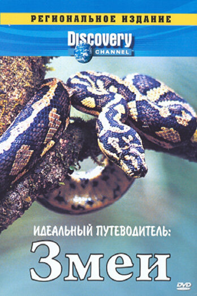 Discovery: Идеальный путеводитель. Змеи
