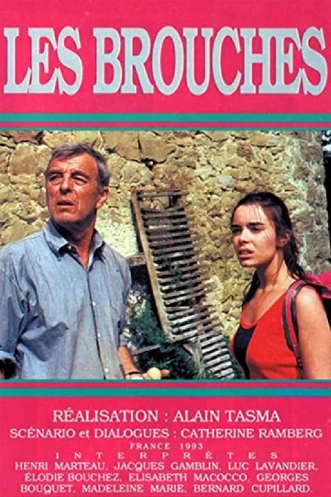 Заколки