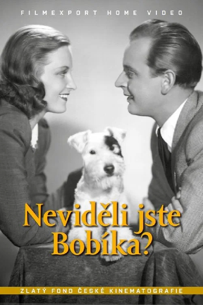 Не видели Бобика?